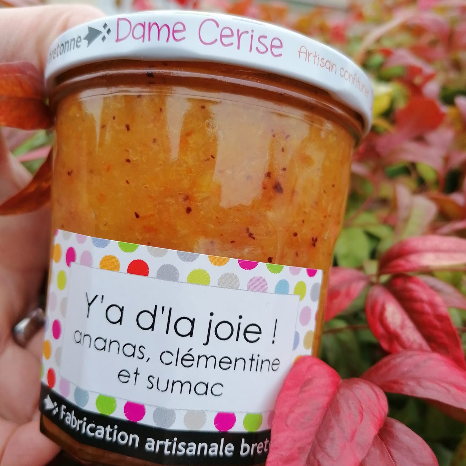 Confiture "Y'a d'la joie" - Dame Cerise