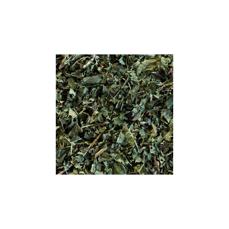 Verveine Menthe
