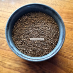 Orzo - Graine de Breton