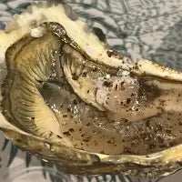 Poivres à Huîtres - Bisou Salé