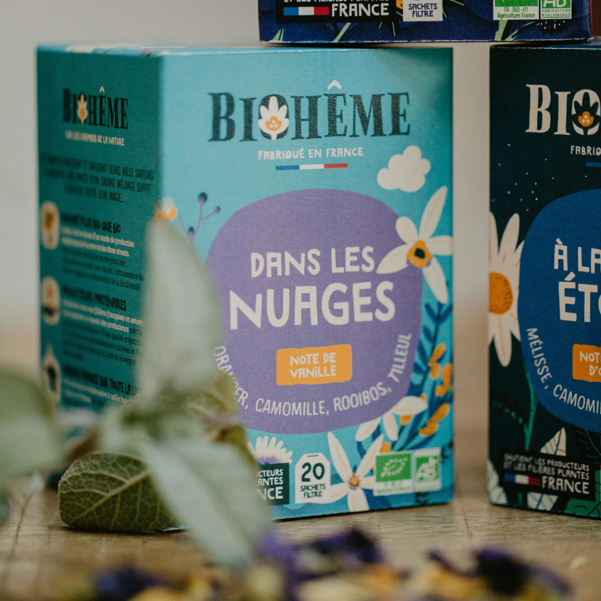 Dans les Nuages - biohème