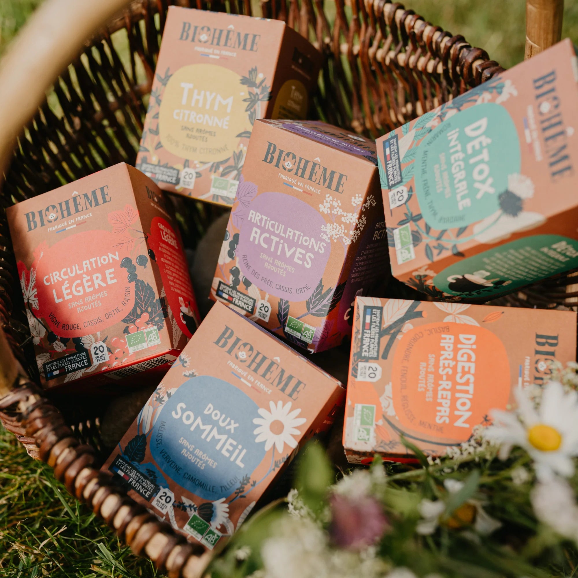 Articulations actives -  Biohème