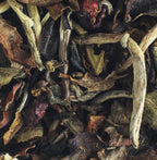 Reine Hortense - Compagnie & Co