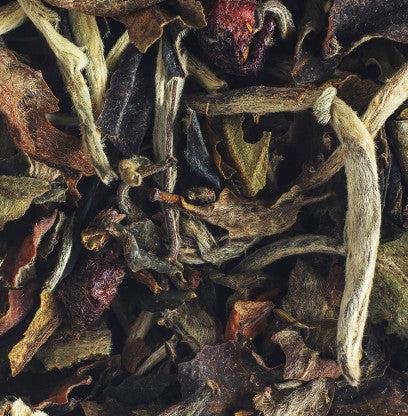 Reine Hortense - Compagnie & Co