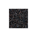 Thé noir Ceylan OPH  Compagnie & Co
