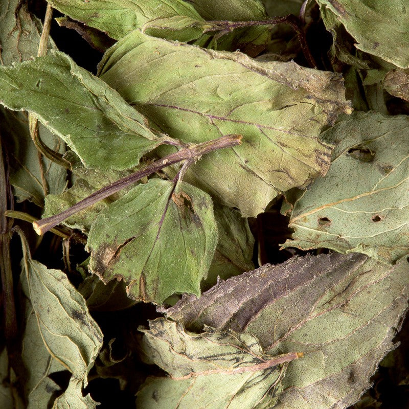 Tisane MENTHE POIVRÉE Dammann Frères