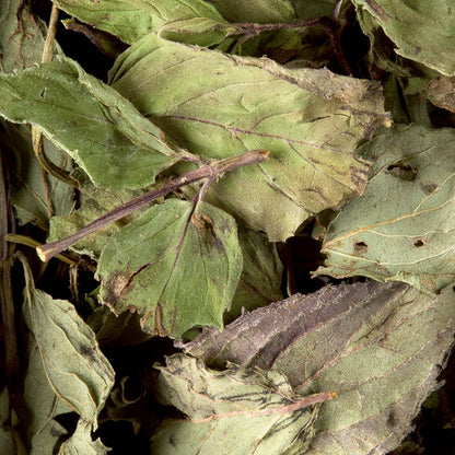 Tisane MENTHE POIVRÉE Dammann Frères
